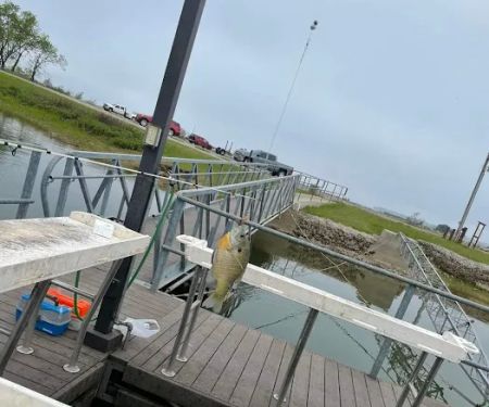 Lakeside Recreation Area