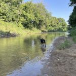 Blue River Bells LLC