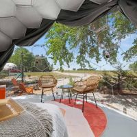 Dallas Glamping Adventures LLC ico