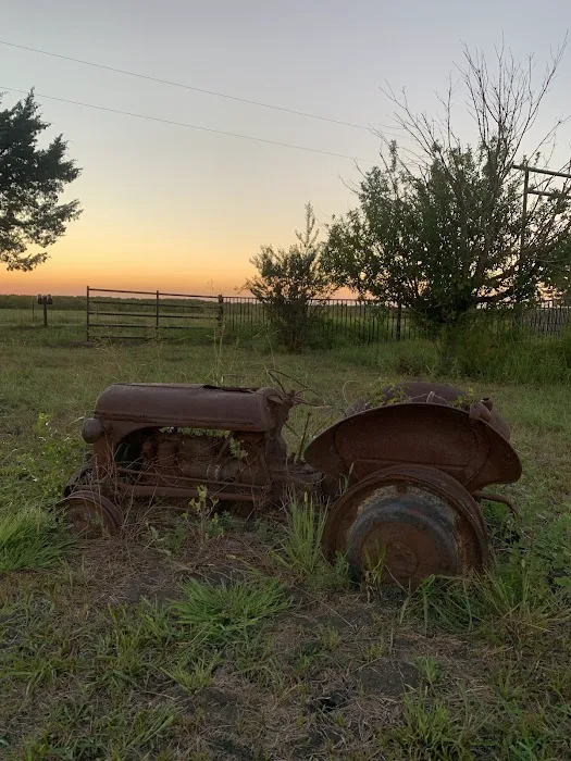 Dallas Glamping Adventures LLC Picture 9