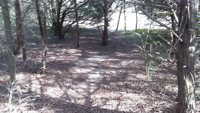 Tom Ellis White Campground Picture 2