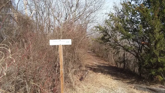 Tom Ellis White Campground Picture 5