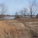 Tom Ellis White Campground