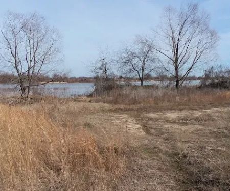 Tom Ellis White Campground