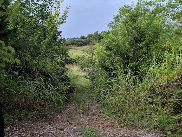 Tom Ellis White Campground Picture 7