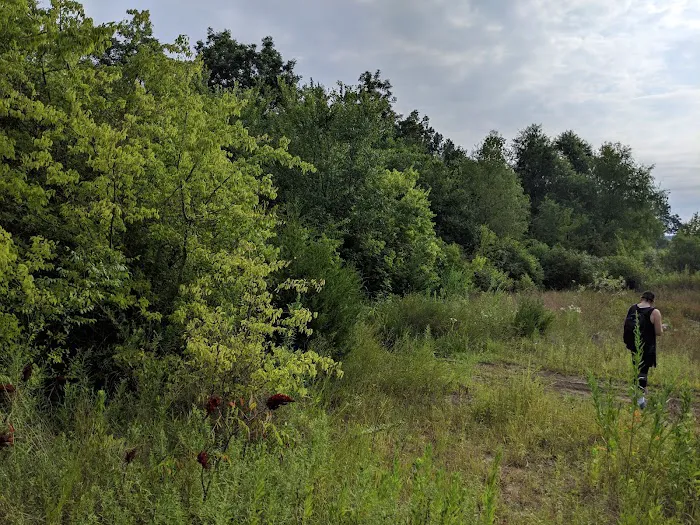 Tom Ellis White Campground Picture 10