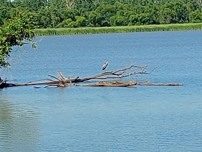Spaniard Creek Campgrounds Picture 4
