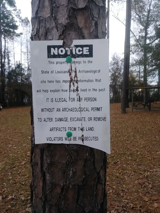 Methodist Landing Recreational Park Picture 5