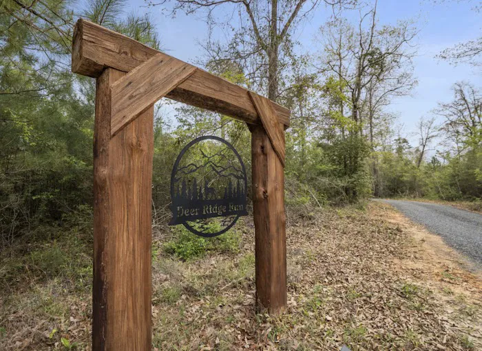 Air Bnb - Deer Ridge Run Picture 4