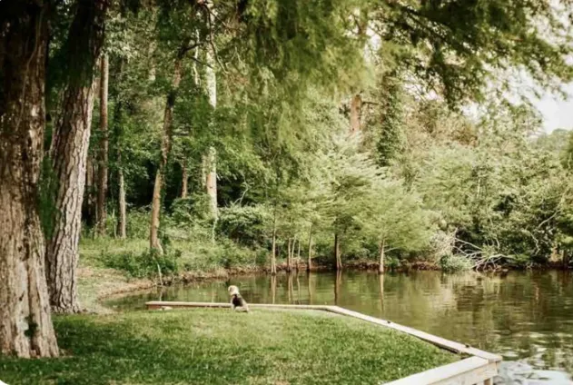 Serenity on Sibley Picture 5