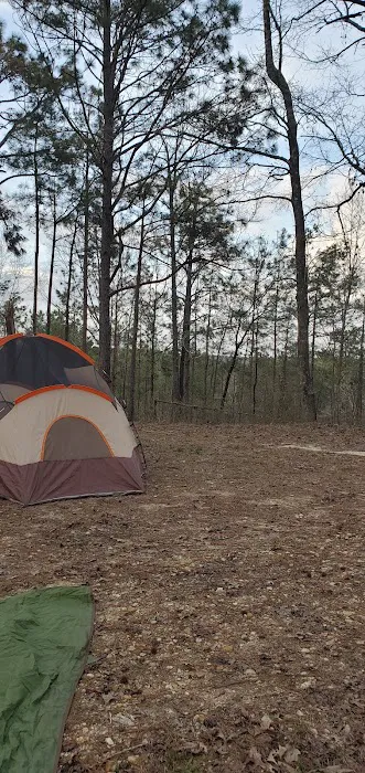 Coyote Campground, Kisatchie National Forest Picture 4