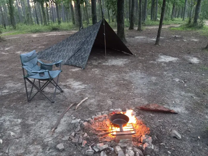 Coyote Campground, Kisatchie National Forest Picture 2