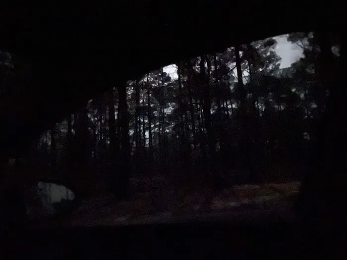 Coyote Campground, Kisatchie National Forest Picture 5