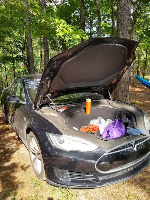 Coyote Campground, Kisatchie National Forest Picture 7