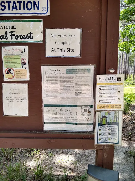 Coyote Campground, Kisatchie National Forest Picture 6