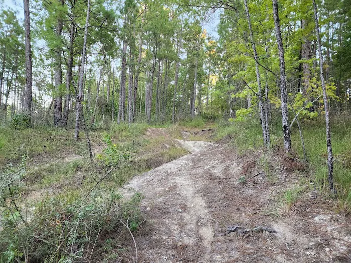 Coyote Campground, Kisatchie National Forest Picture 10