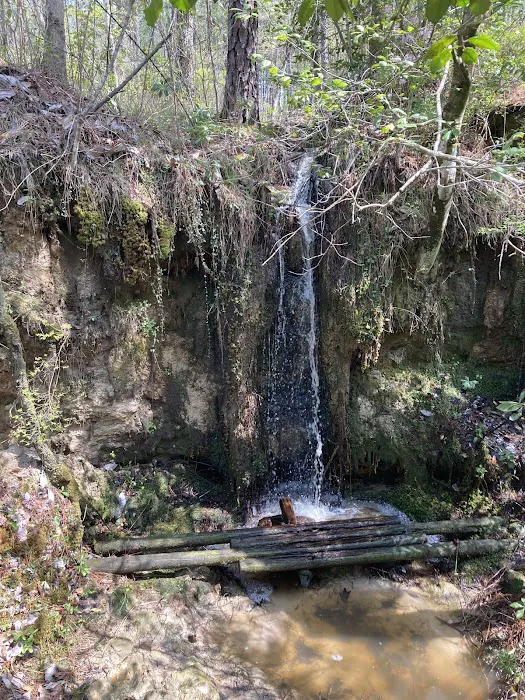 Corral Camp Picture 3