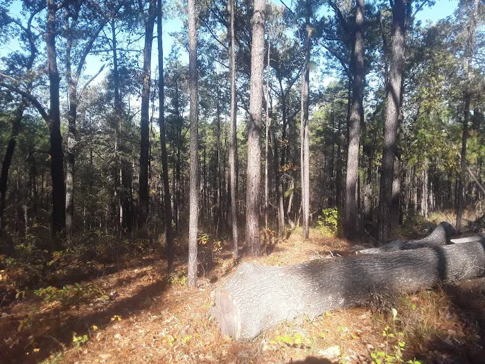 Corral Camp Picture 7