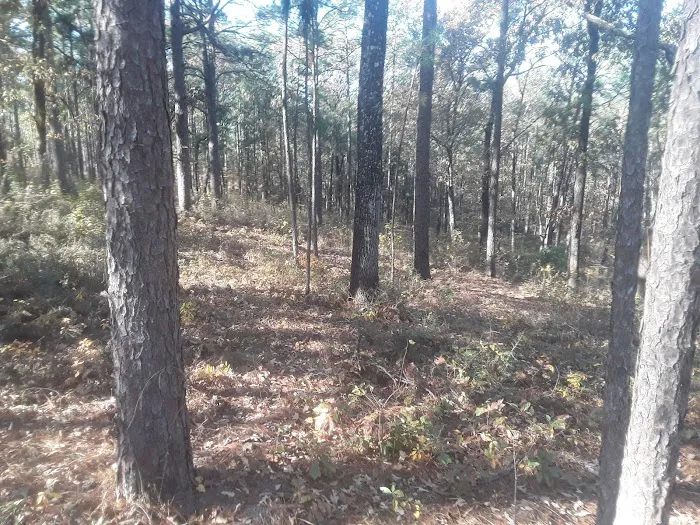 Corral Camp Picture 8