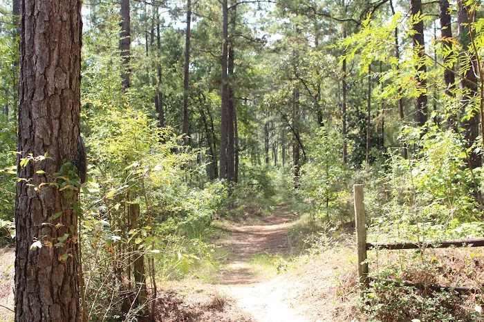 Red Bluff Campground Picture 5