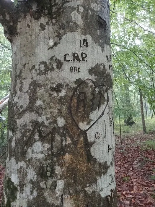 Red Bluff Campground Picture 4