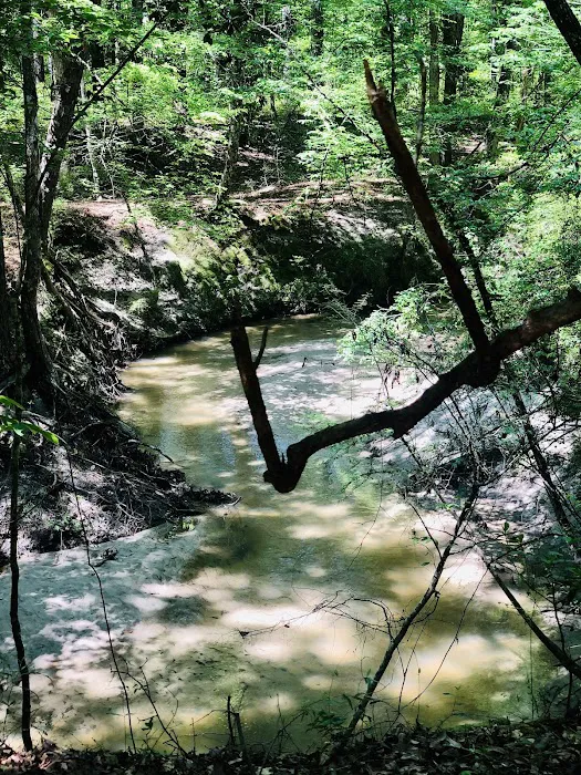 Lotus Campground Picture 6