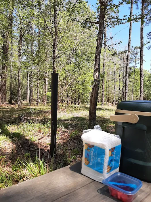 US Forestry Department Picture 1