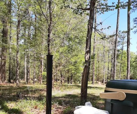 US Forestry Department