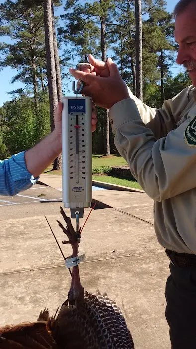 US Forestry Department Picture 3