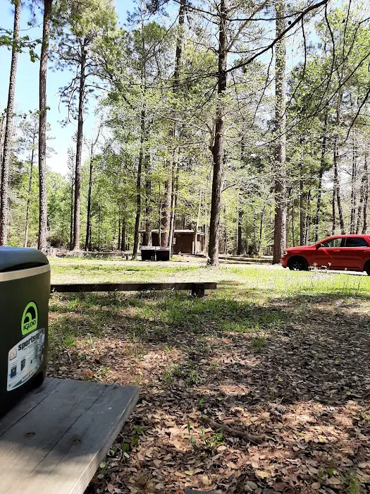 US Forestry Department Picture 2