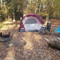 Flynn's Camping Grounds ico