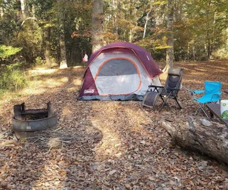 Flynn's Camping Grounds