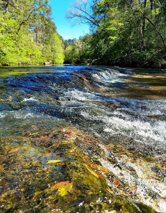 Flynn's Camping Grounds Picture 5