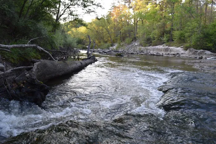 Flynn's Camping Grounds Picture 10