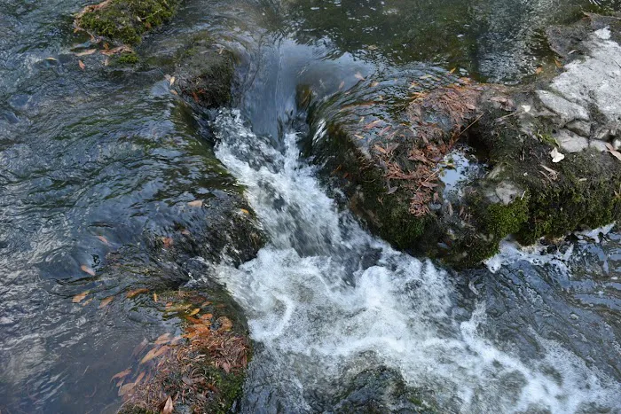 Flynn's Camping Grounds Picture 7