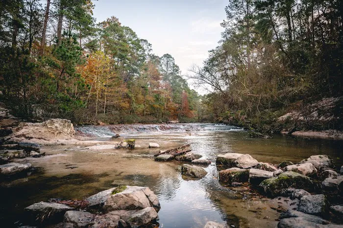 Flynn's Camping Grounds Picture 6