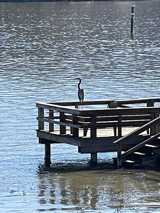 The Lucky Duck Fishing Camp Picture 1