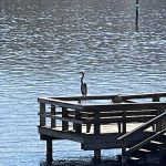 The Lucky Duck Fishing Camp