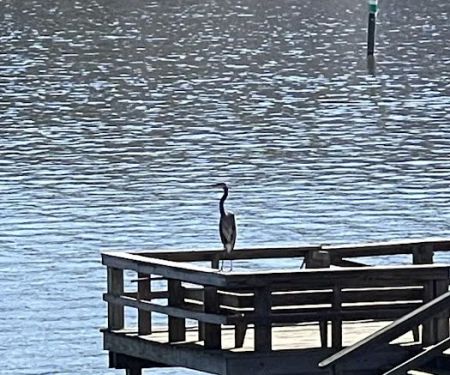 The Lucky Duck Fishing Camp