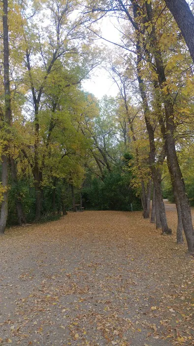 EGGERTS LANDING COE CAMPGROUND Picture 10