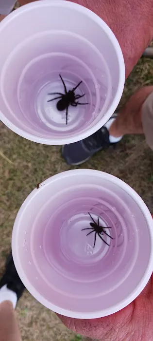 Willard Meyer Lake Picture 8