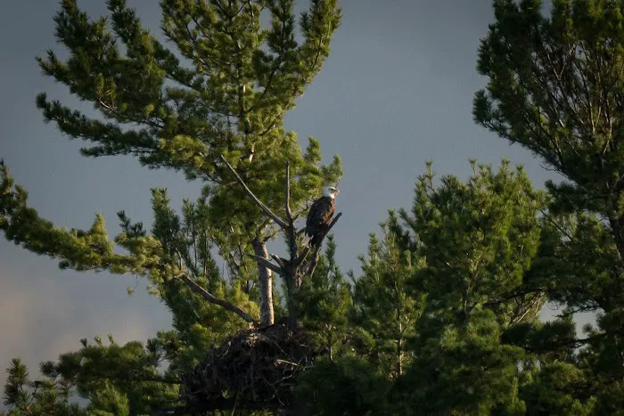 BWCA Campsite #404 Picture 2