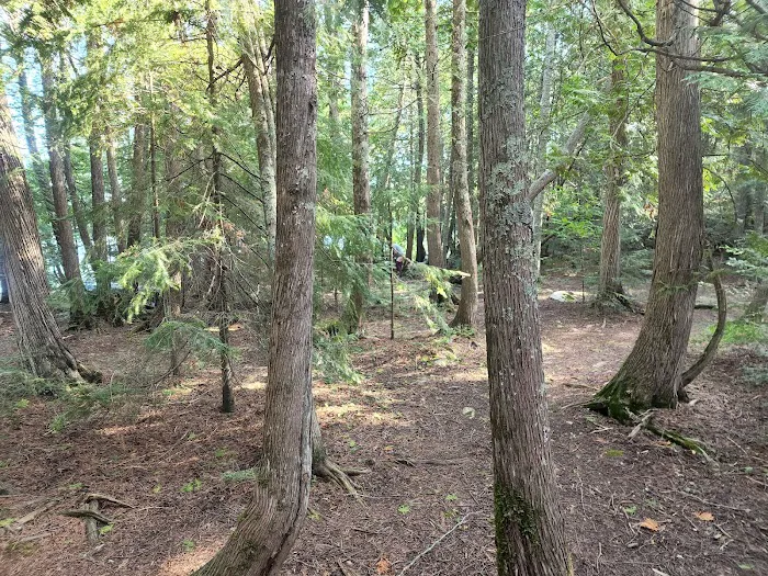 BWCA Campsite #400 Picture 9
