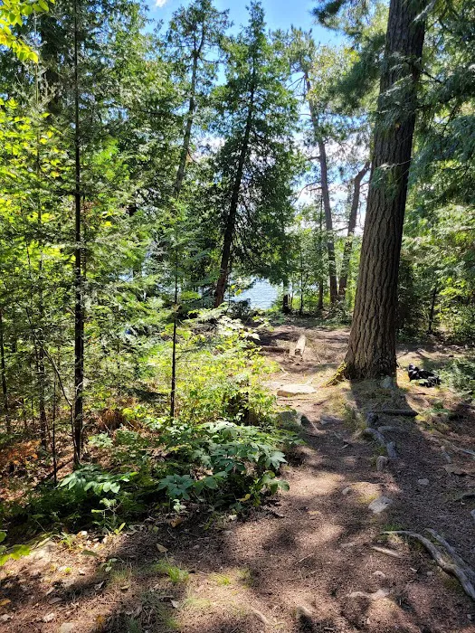 BWCA Campsite #395 Picture 4