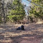 Arcadia Lake Campground