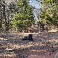 Arcadia Lake Campground ico