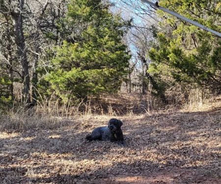 Arcadia Lake Campground