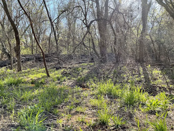 Central State Park Picture 5