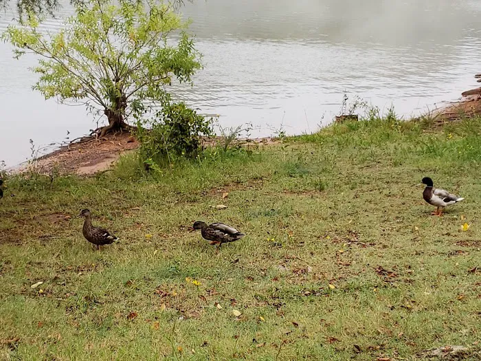 Cottonwood Overnight Camping Picture 8