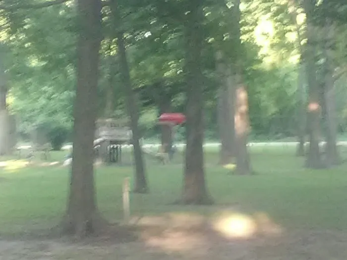 River Side Park Picture 2